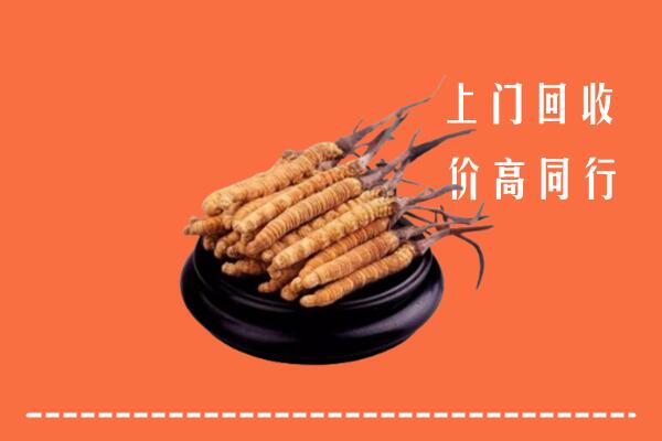 高价求购：无锡市宜兴市回收散虫草